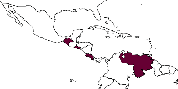 map of Sericoceros vumirus     Smith, 1992